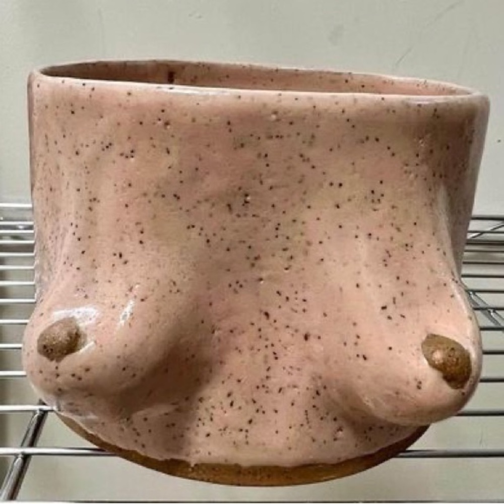 5” x 4” Handmade Pottery Boobs Planter Pot with Drain Hole
Price: $50